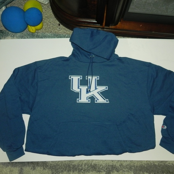 Champion UK hooded sweatshirt brand new - Picture 3 of 5